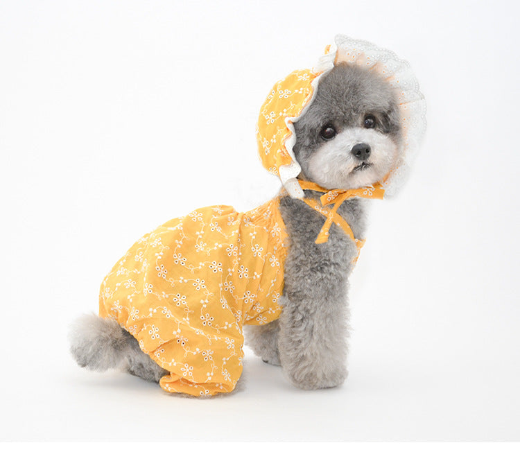 New Pet Decorations Puppy Cat Hat