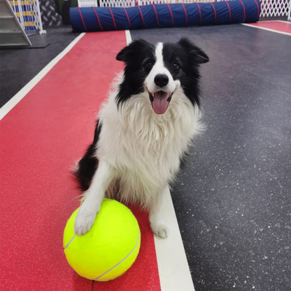 Tennis Pet Toy Inflatable Training Rubber Big Ball Elastic Ten Times Happy Corgi Golden Retriever