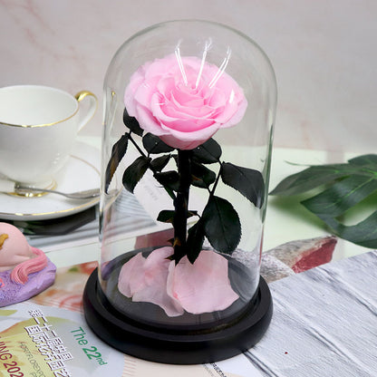 Glass Cover Tanabata Valentine's Day Immortal Rose Gift