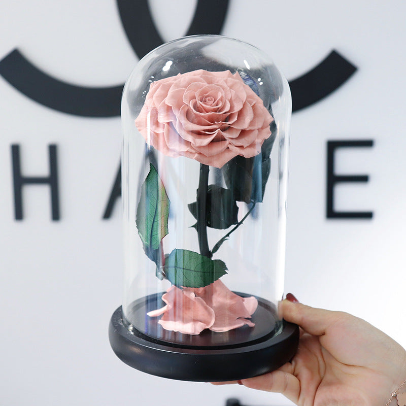 Glass Cover Tanabata Valentine's Day Immortal Rose Gift