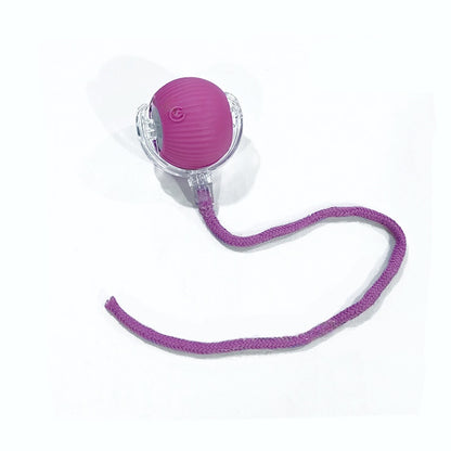 Cat Interactive Ball Toys Automatic Rolling Ball For Kitten Rechargeable Smart Pet Electric Toys With Teaser Sensor Cat Ball Toy