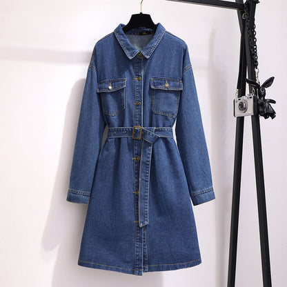 Mid-length loose a-line skirt long-sleeved denim dress