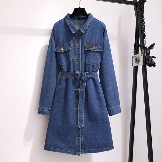 Mid-length loose a-line skirt long-sleeved denim dress
