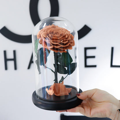 Glass Cover Tanabata Valentine's Day Immortal Rose Gift