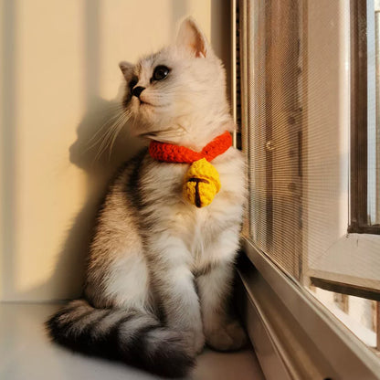 Cat British Short Wool Cute Collar