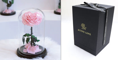 Glass Cover Tanabata Valentine's Day Immortal Rose Gift