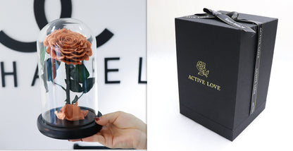 Glass Cover Tanabata Valentine's Day Immortal Rose Gift