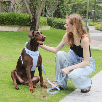 Hand Holding Rope Explosion-proof Chest Back Suit Widened Pet Collar Mini Schoolbag Dog Stool Bag