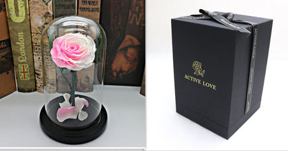 Glass Cover Tanabata Valentine's Day Immortal Rose Gift