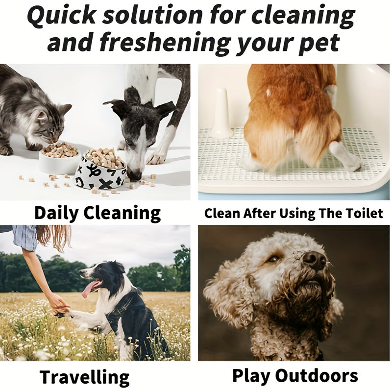 10-Pack/50-Pack/100-Pack Pet Wipes, 10x5/10x10, All Pet Types, Portable Packaging, Safe & Hygienic, Low Allergenic, Skin Care, Dog Grooming Supplies