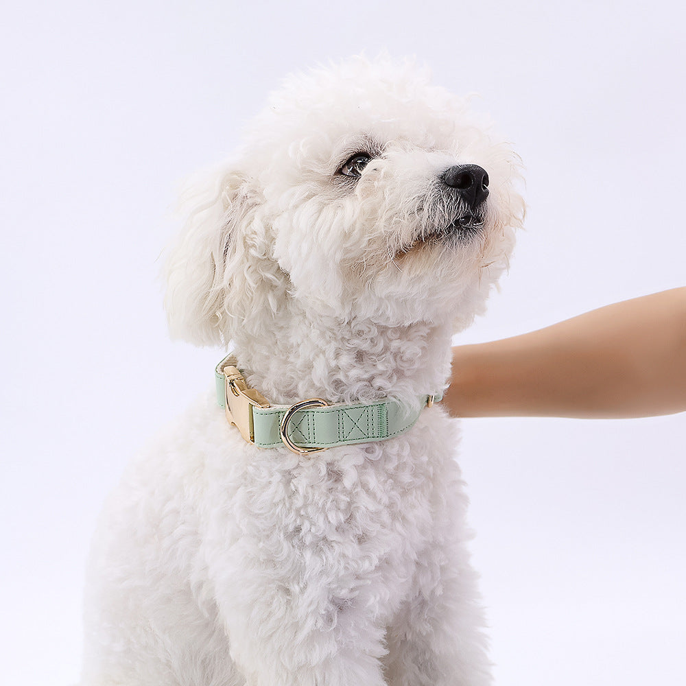 Pet Collar Metal Buckle High Quality All-match
