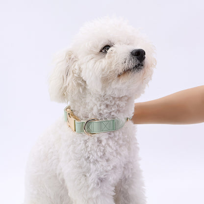 Pet Collar Metal Buckle High Quality All-match