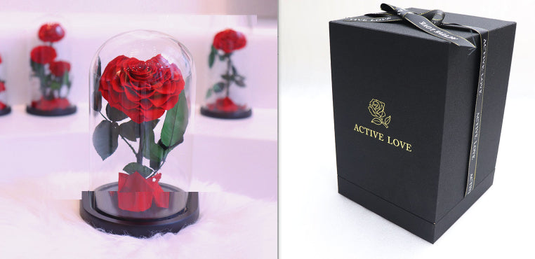 Glass Cover Tanabata Valentine's Day Immortal Rose Gift
