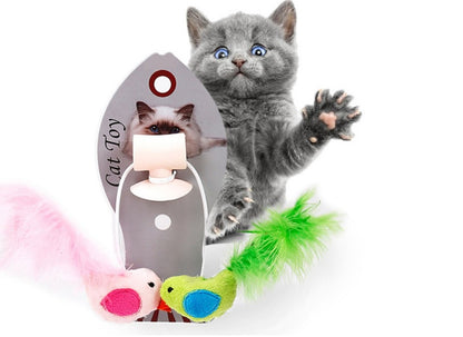 WAC CAT BOX 4