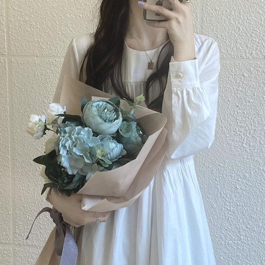 Korean Style Long Sleeve Round Neck Mid-Length Dress