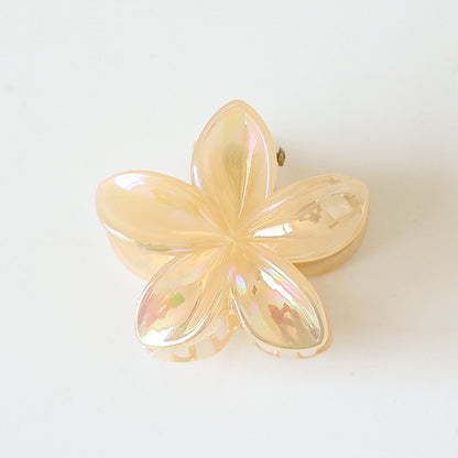 Retro Sweet Hair Claw Clip Women's Side Grip