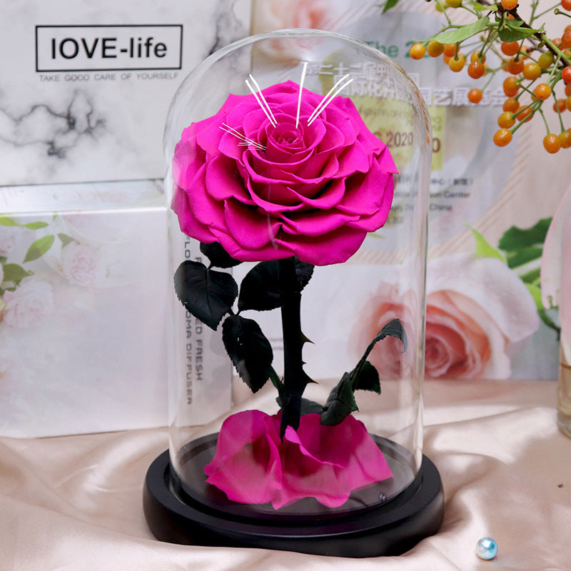 Glass Cover Tanabata Valentine's Day Immortal Rose Gift