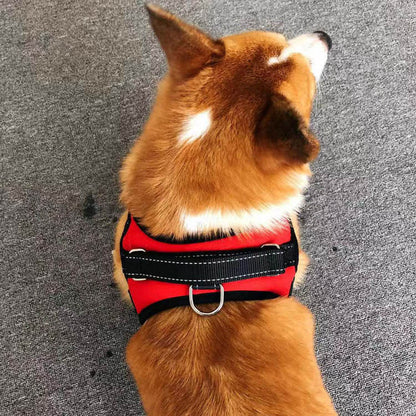 Small Dog Vest Type Rope Chest Back