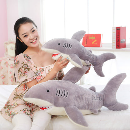 d9d02af8fc250ced364984b27624671c