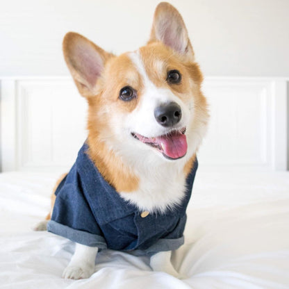 Hawaiian European And American Spring Style French Fighting Corgi Shiba Dog Shirt