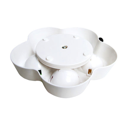 Pet treasure hunt slow food bowl