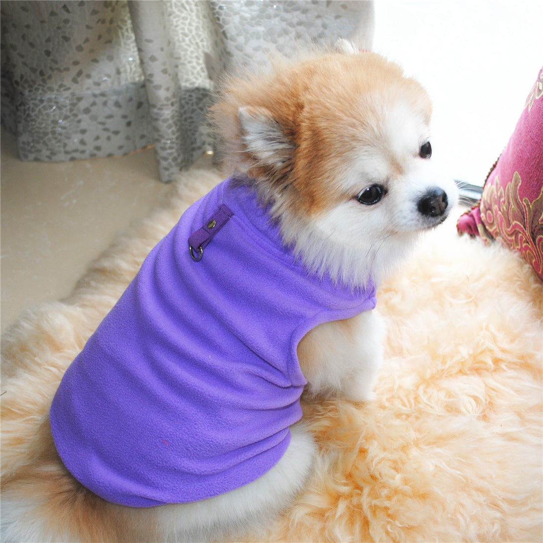 Dog Fall Winter Polar Fleece Traction Buckle Strong