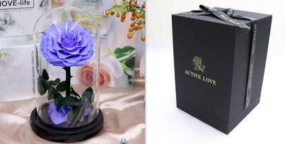 Glass Cover Tanabata Valentine's Day Immortal Rose Gift