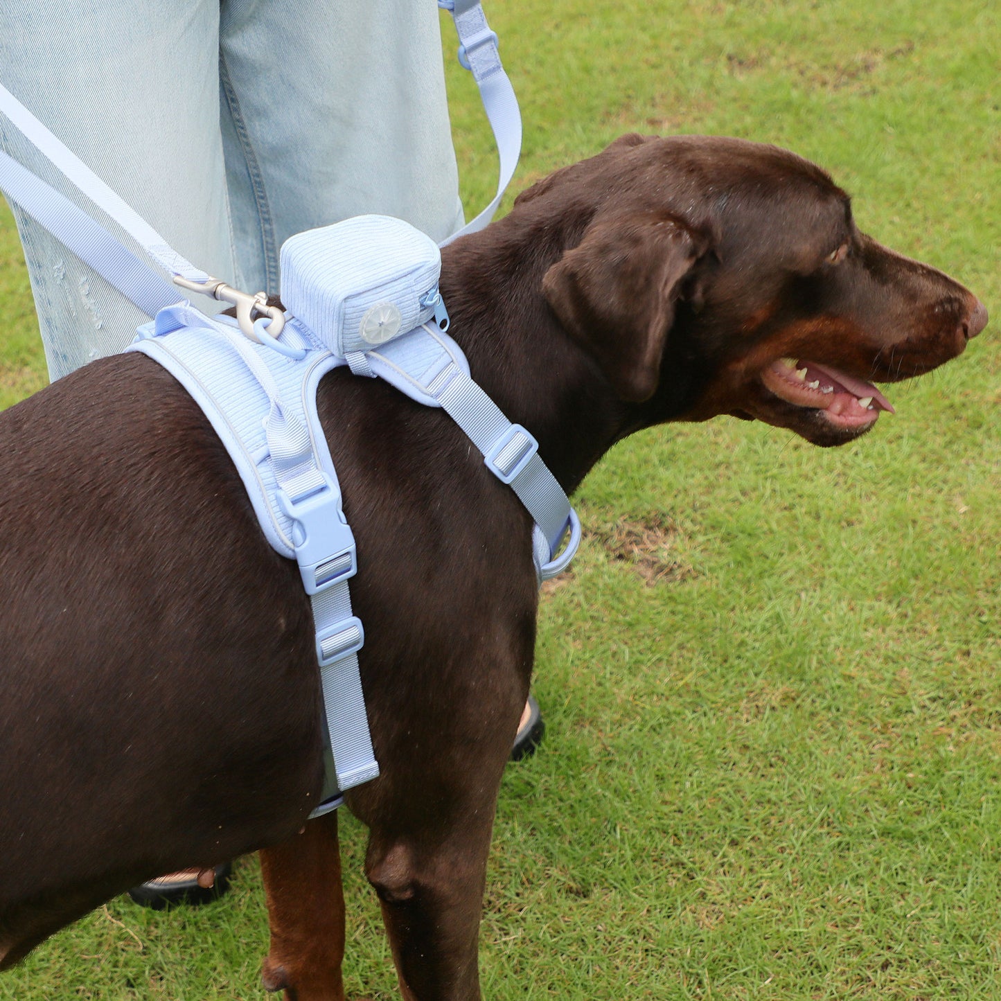 Hand Holding Rope Explosion-proof Chest Back Suit Widened Pet Collar Mini Schoolbag Dog Stool Bag