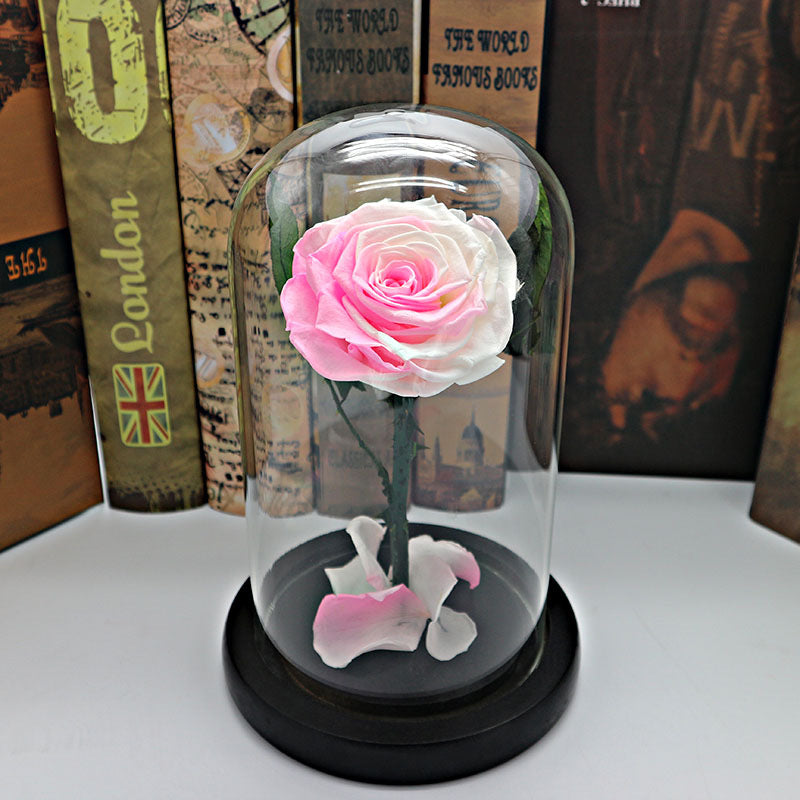 Glass Cover Tanabata Valentine's Day Immortal Rose Gift
