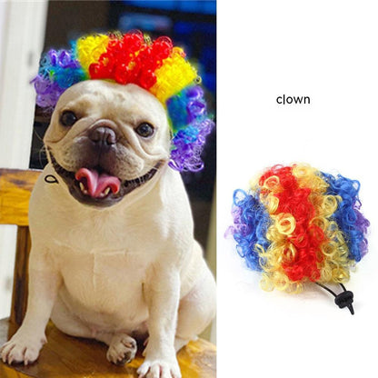 Pet Wig Afro Bangs Cat