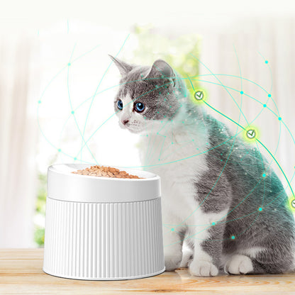 Geometric cat bowl double bowl