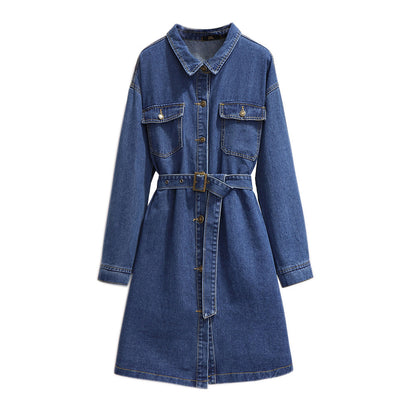Mid-length loose a-line skirt long-sleeved denim dress