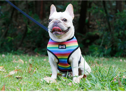 Rainbow chest strap