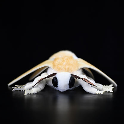 Insect Series Silkworm Moth Plush Toy Doll
