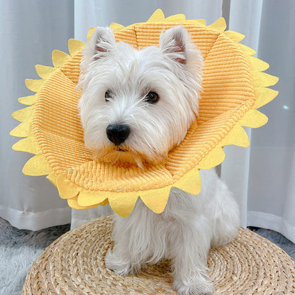 Cat Neck Ornaments Small Dogs Medium-sized Anti-licking Headgear Soft Shame Circle