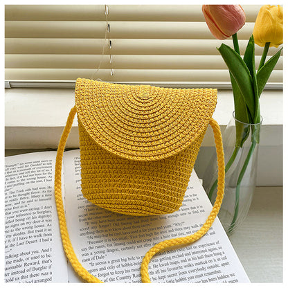 French Style Straw Bag Shoulder Crossbody