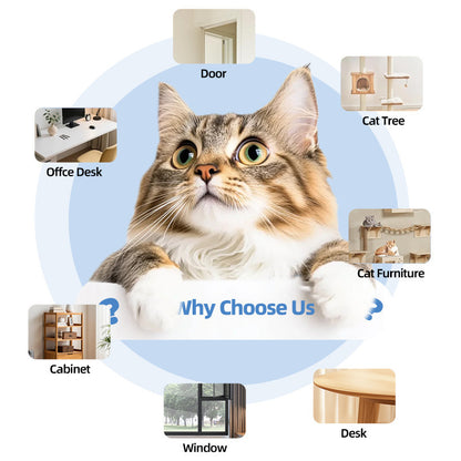 Retractable Automatic Remote-controlled Pet Toy