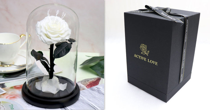 Glass Cover Tanabata Valentine's Day Immortal Rose Gift