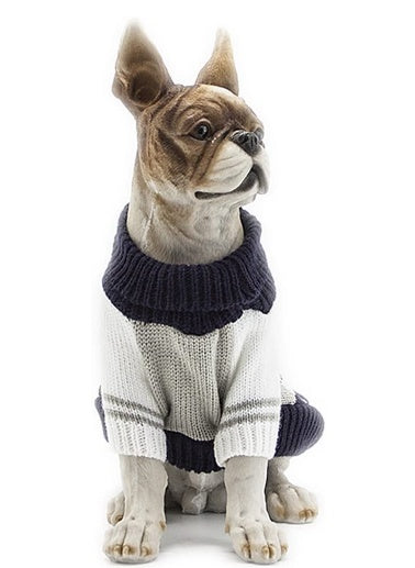 Cat and dog clothes are hot on Amazon