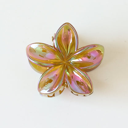 Retro Sweet Hair Claw Clip Women's Side Grip