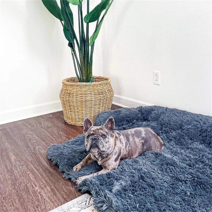 Dog Bed