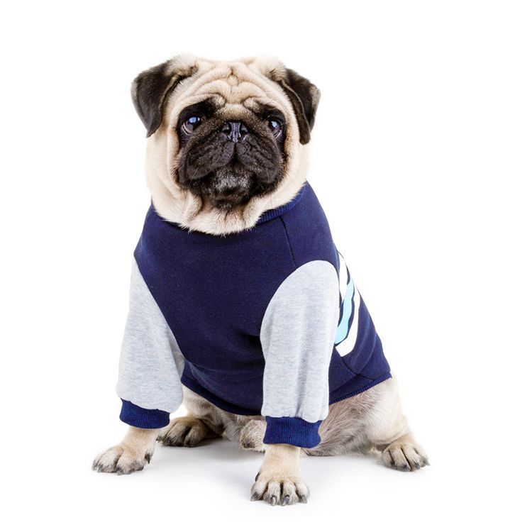 Pure Cotton Wave Warm Sweater Pet Leisure Sweater Dog Supplies