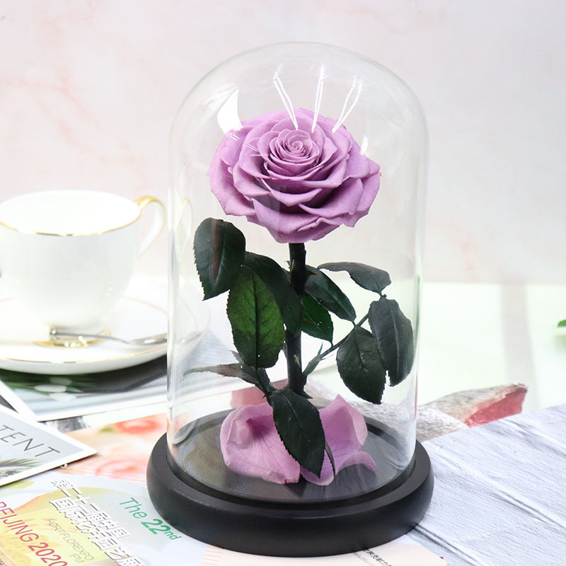 Glass Cover Tanabata Valentine's Day Immortal Rose Gift
