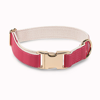 Pet Collar Metal Buckle High Quality All-match