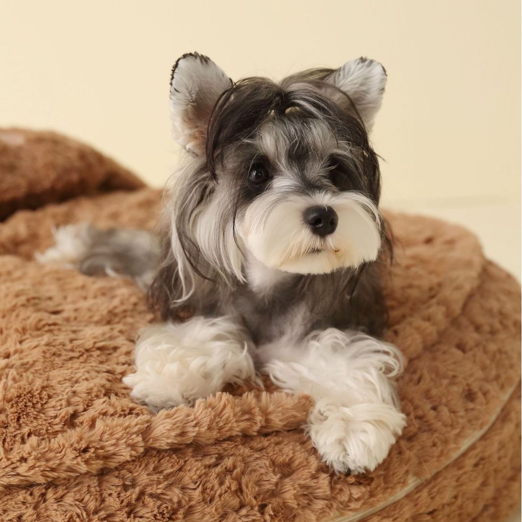 Four Seasons Universal Kennel Pet Mat