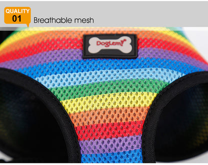 Rainbow chest strap