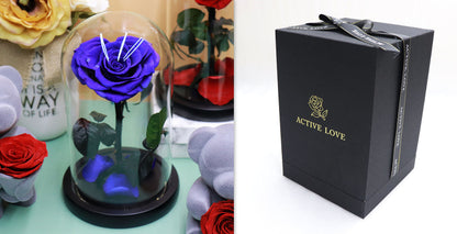 Glass Cover Tanabata Valentine's Day Immortal Rose Gift