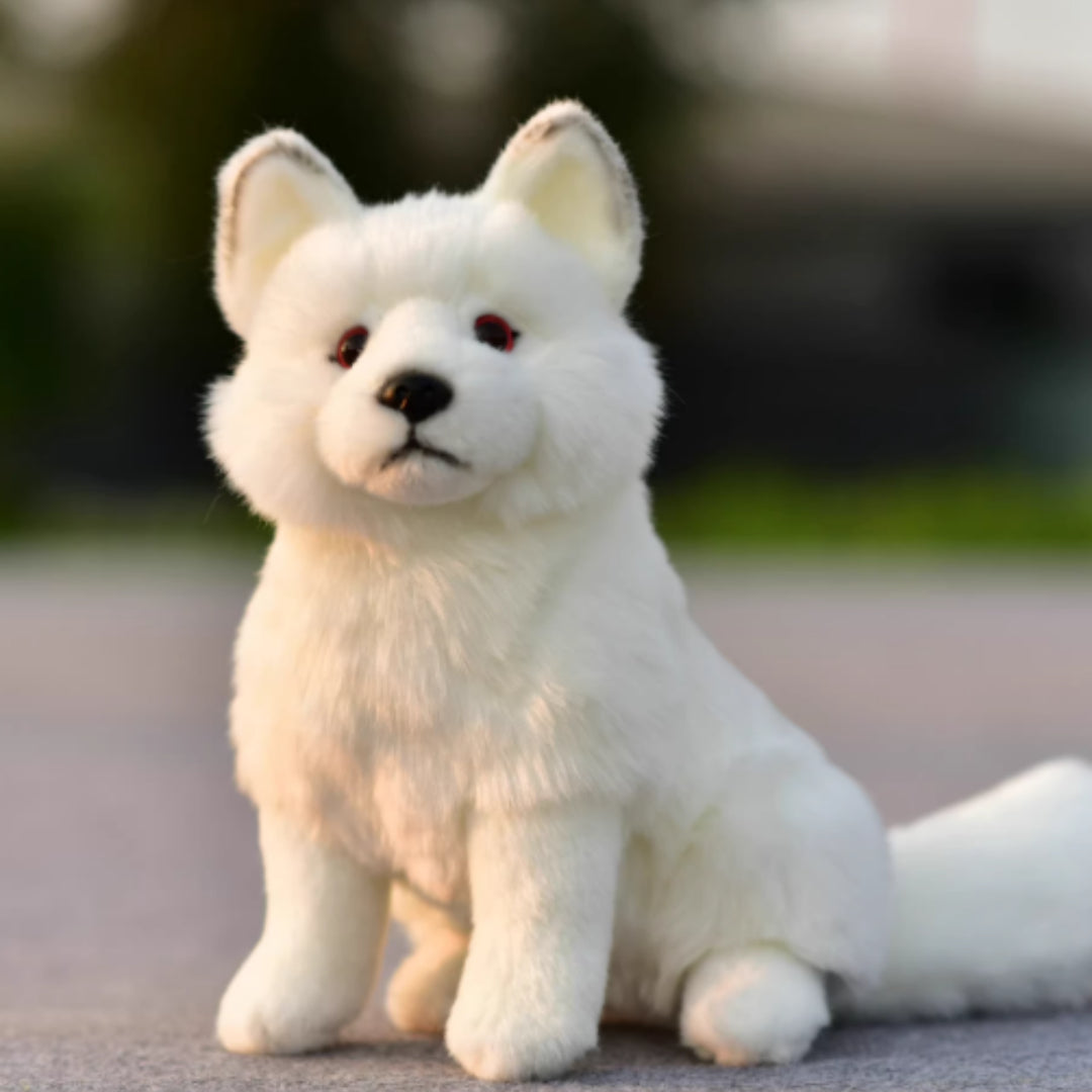 Plush Toys, Animal Dolls, And Plush Toys