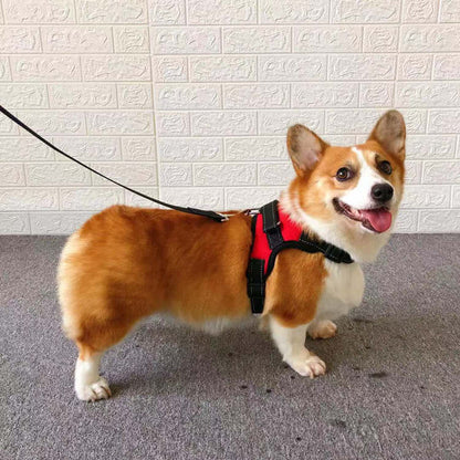 Small Dog Vest Type Rope Chest Back