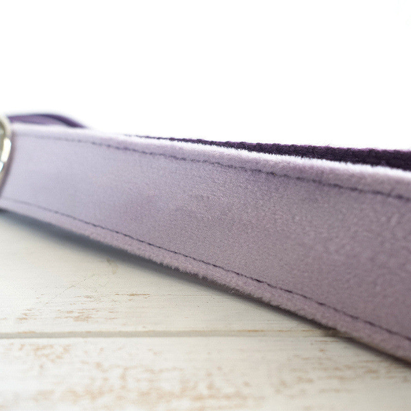 MUTTCO pet dog ring leash pull strap